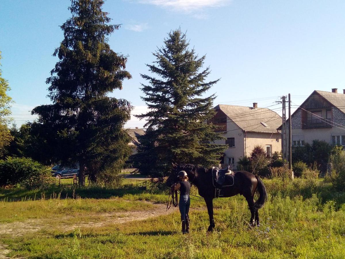 Fenyőfa vendégház Szilvasvarad Exterior foto